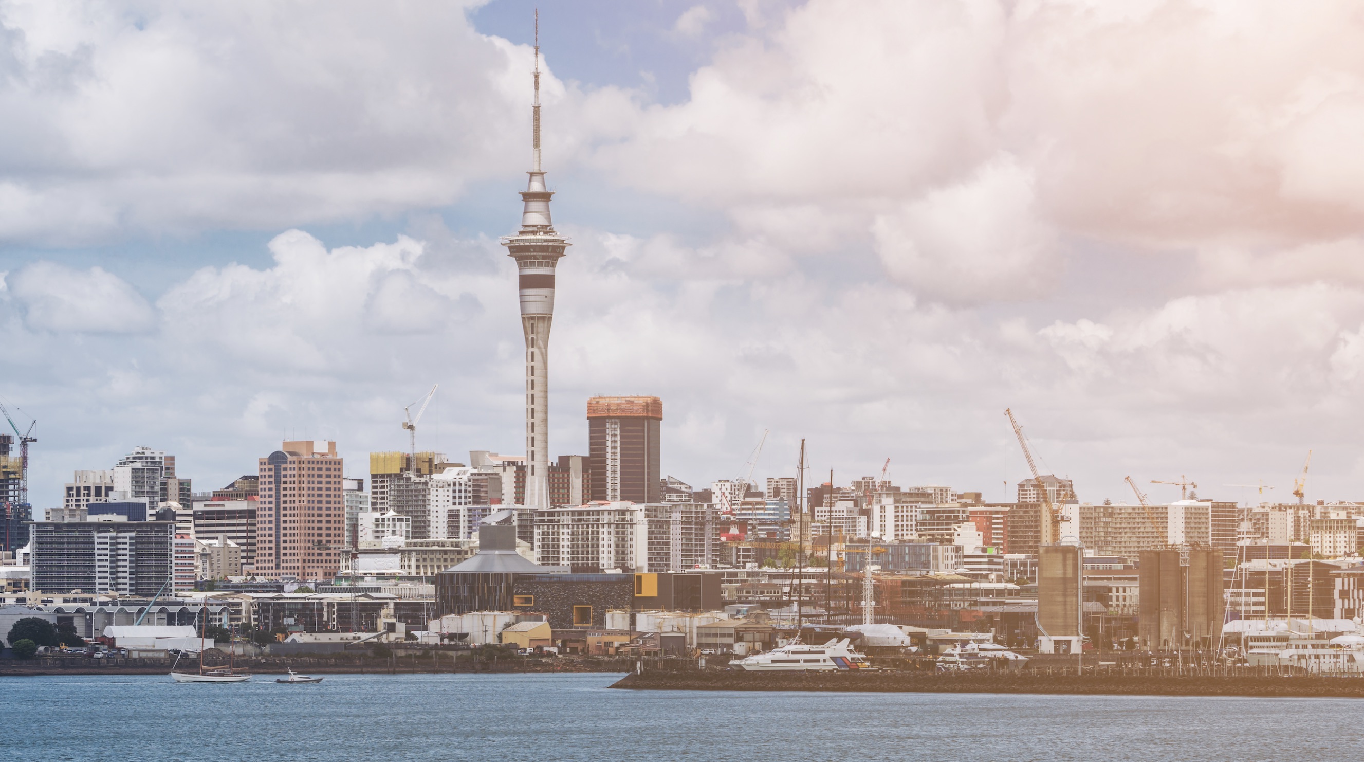 Why Is A Luxury Car Indeed The Best Car Rental In Auckland?