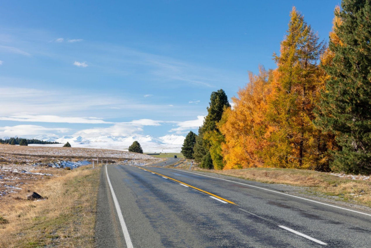 Cheap Car Rental NZ 2026 Auckland Christchurch Queenstown Guide